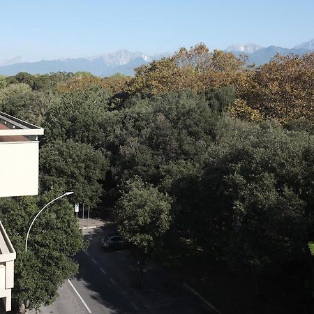 Villa Giulia Bnb 维亚雷焦 外观 照片