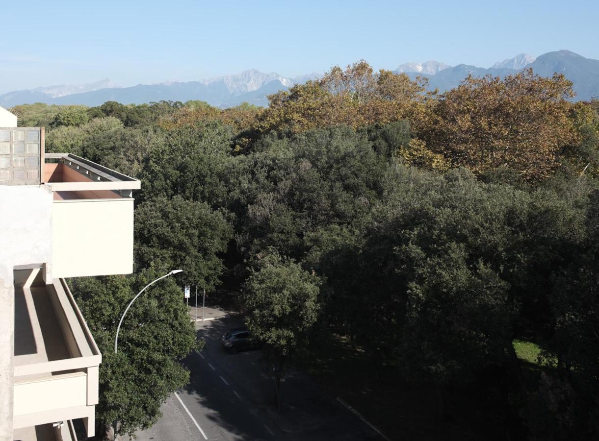 Villa Giulia Bnb 维亚雷焦 外观 照片