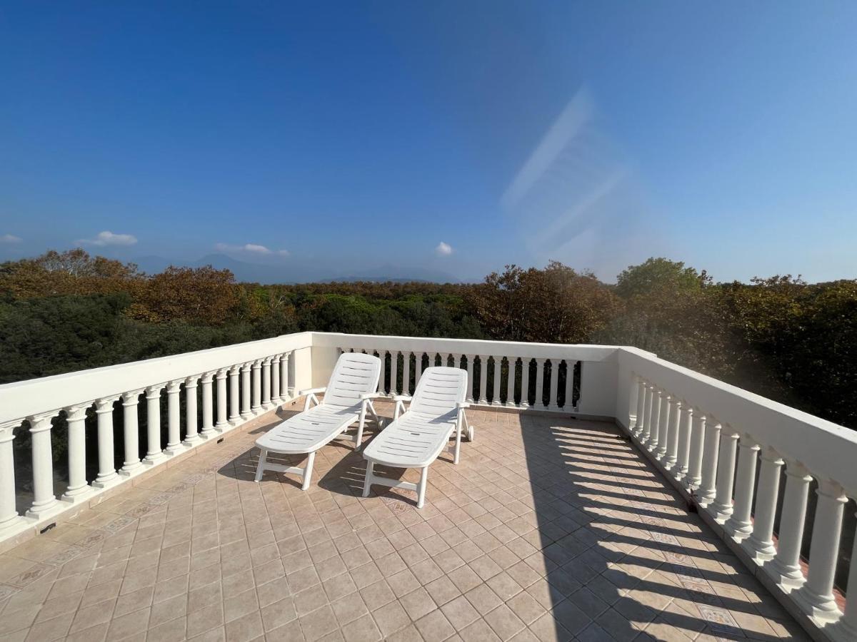Villa Giulia Bnb 维亚雷焦 外观 照片
